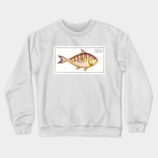 Toothless Mackrel (1785–1797) Crewneck Sweatshirt